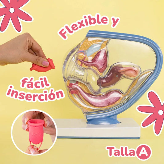 Copita Menstrual UVA 2 Talla A